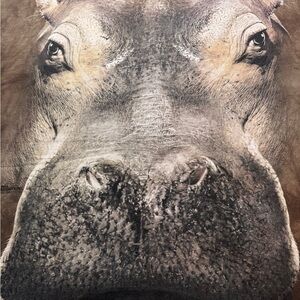 The Mountain nature/hippo tee-XL(24x30)